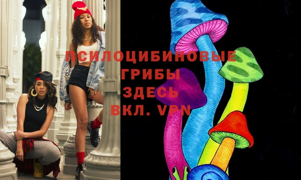 сатива Мегион