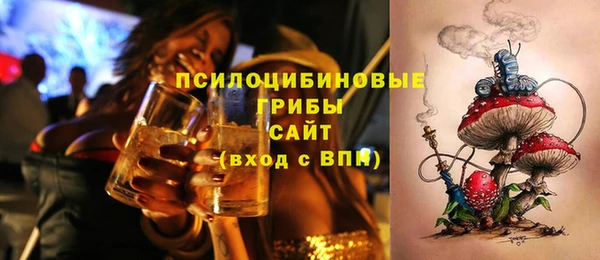 хмурый Алексеевка